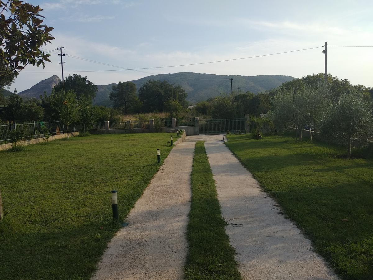 Guest House Radulovic Petrovac エクステリア 写真